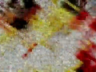 EPIC FAILZ AMV - MOONLIGHT IS FREE.avi