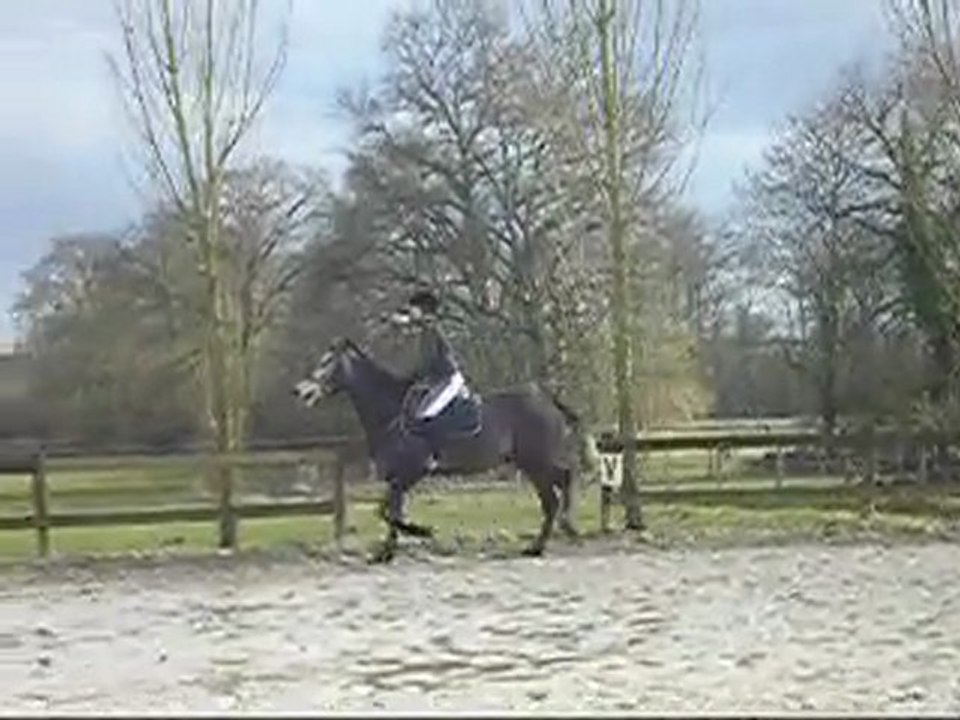 Suelto 25 février 2010