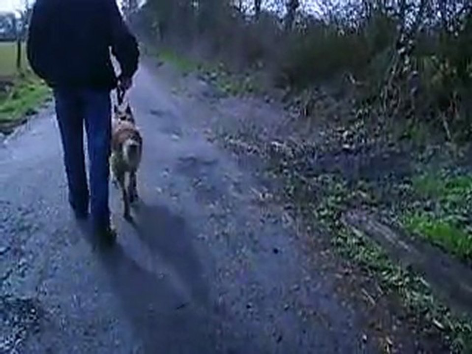 EROS PART EN PROMENADE