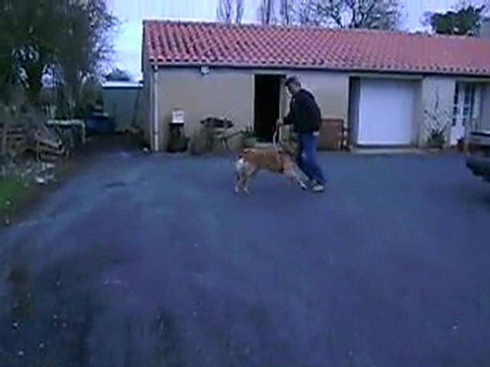 EROS FAIT LE FOU AVEC SON PAPINOU