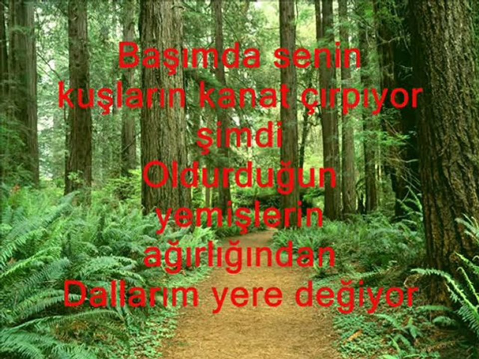 Ben Bir Eylül Sen Haziran