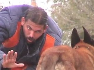 ARF Ramon Rudd Selection