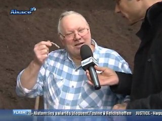 Aspach-le-Haut se lance dans le tri des bio-déchets