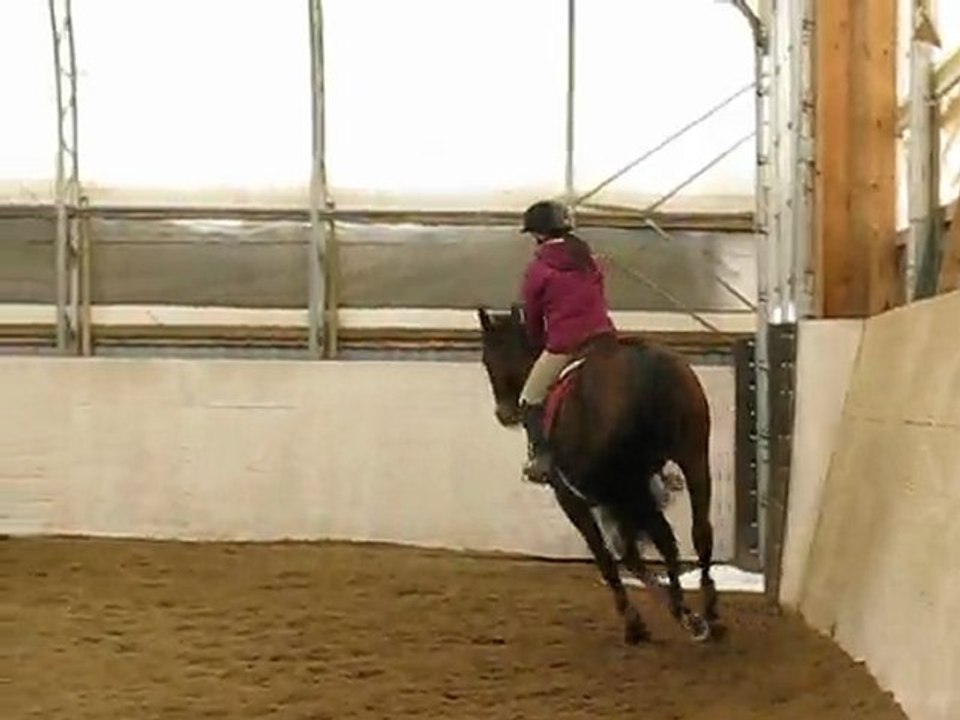 Moi & ma jument le 21 fevrier 10 :)