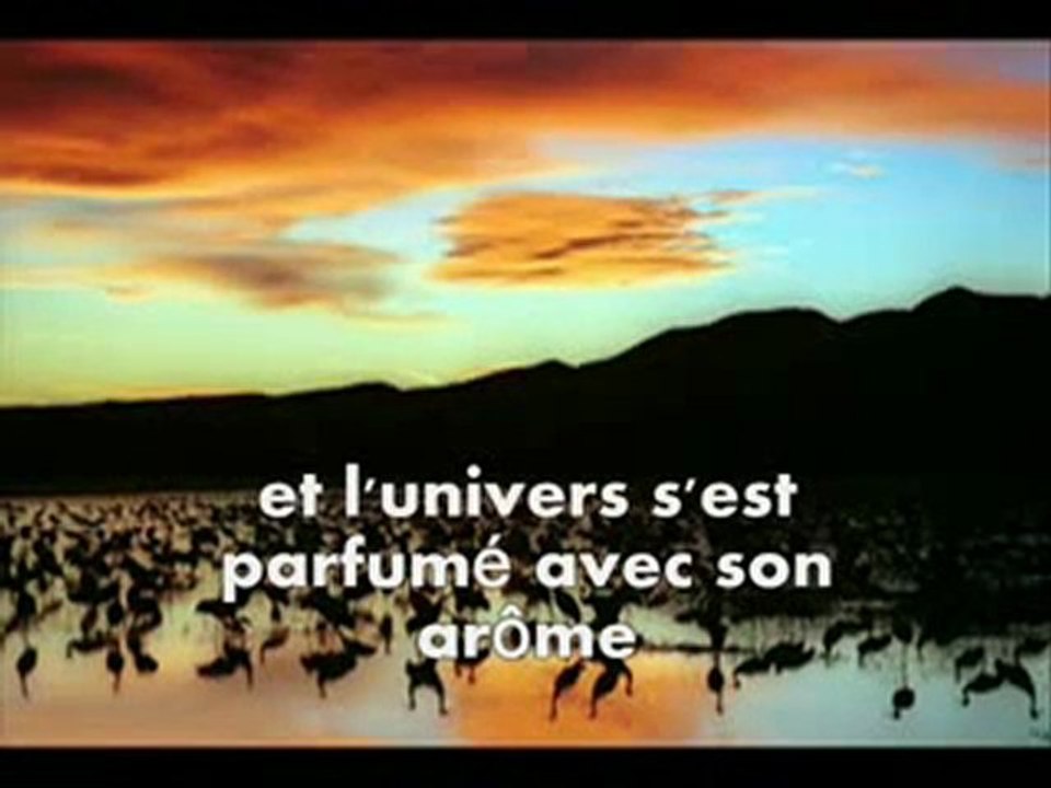 Sur les pas du prophète 2/10 (prophète de la miséricorde )