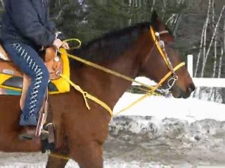 ma jument et moi en entrainement !
