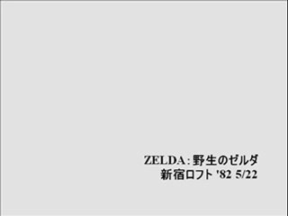 ZELDA：野性のゼルダ(4)