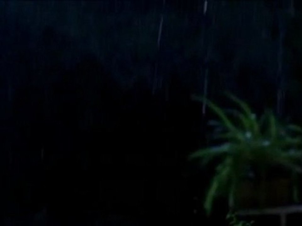 True Blood Bill&Sookie Don't leave me