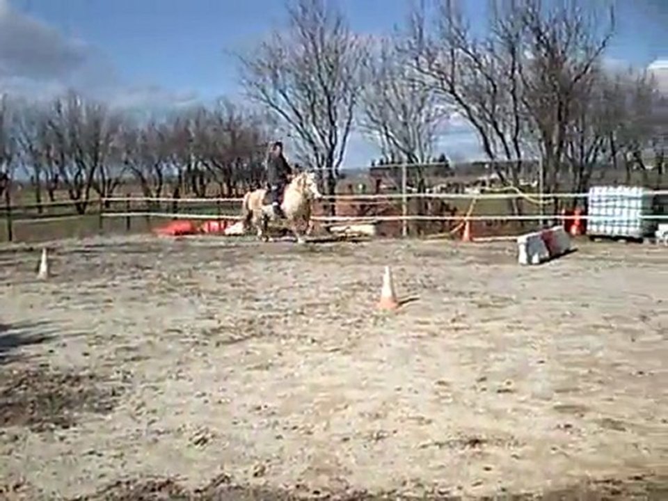 cours de dressage pernod fevrier 2010 001