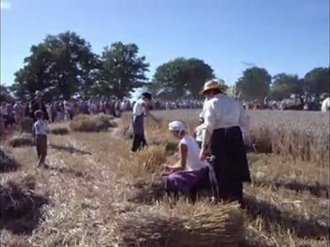 Montaillé_confection des gerbes