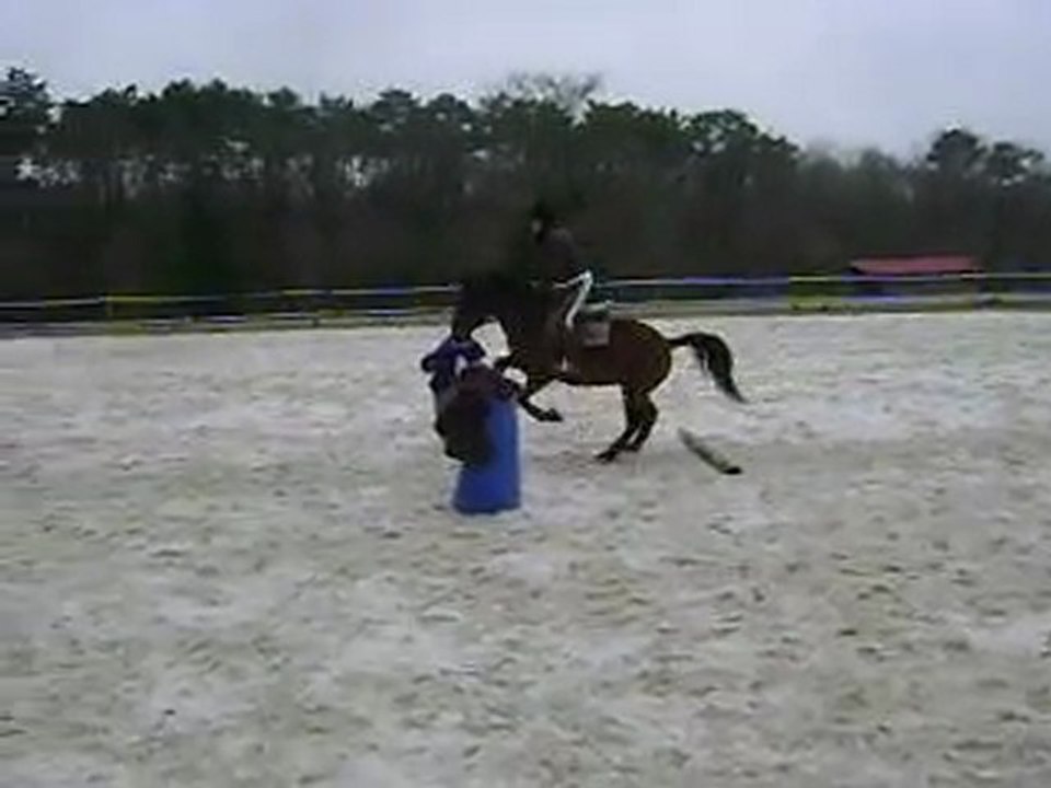 Séance du 14 février 2010