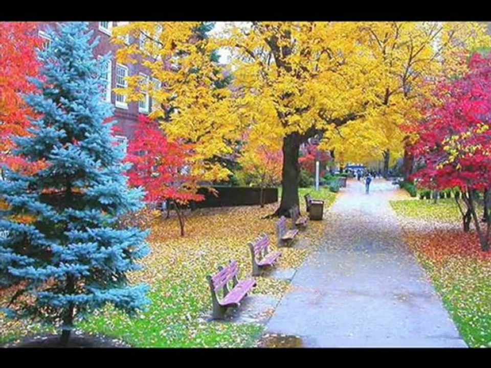 can yücel herşey sende gizli