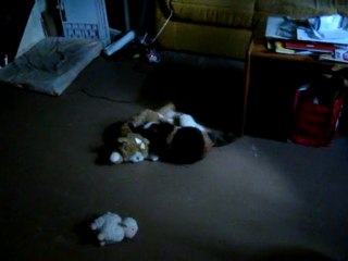 Energy le 26 Fev 2010