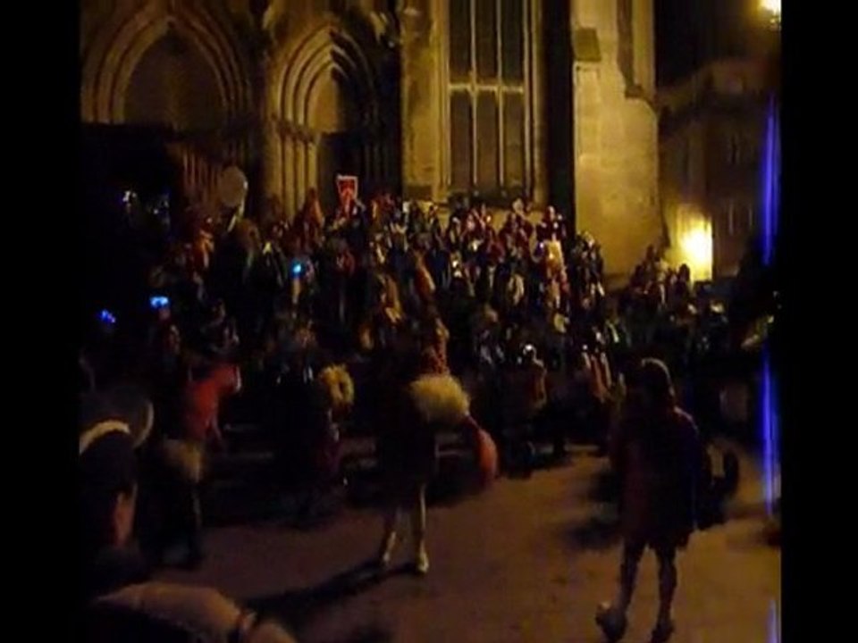 Beuf au carnaval de Mulhouse