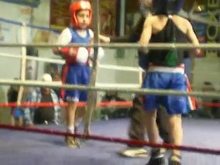 MARLON 4 MOIS DE BOXE ANGLAISE REPRESENTE " DON KLESS "