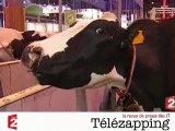 Télézaaping : Salon de l'agriculture, 