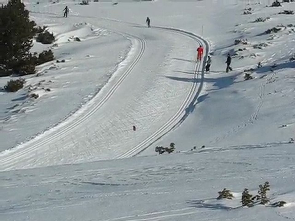 Plateau de Beille : croisée