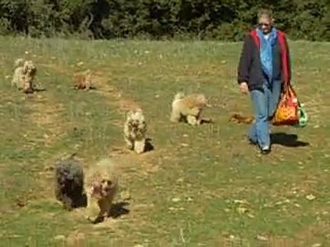 DSCN1974 TOUJOURS LA PROMENADE DU 26 FEVRIER 2010