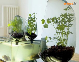 Mathieu Lehanneur, le 'Designer Thérapeute' : une approche du design comme remède et poison