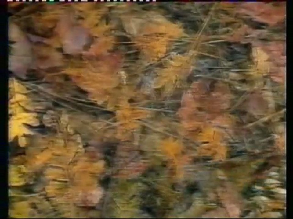 Canal+ 1er Décembre 1991 ca cartoon - infos+météo