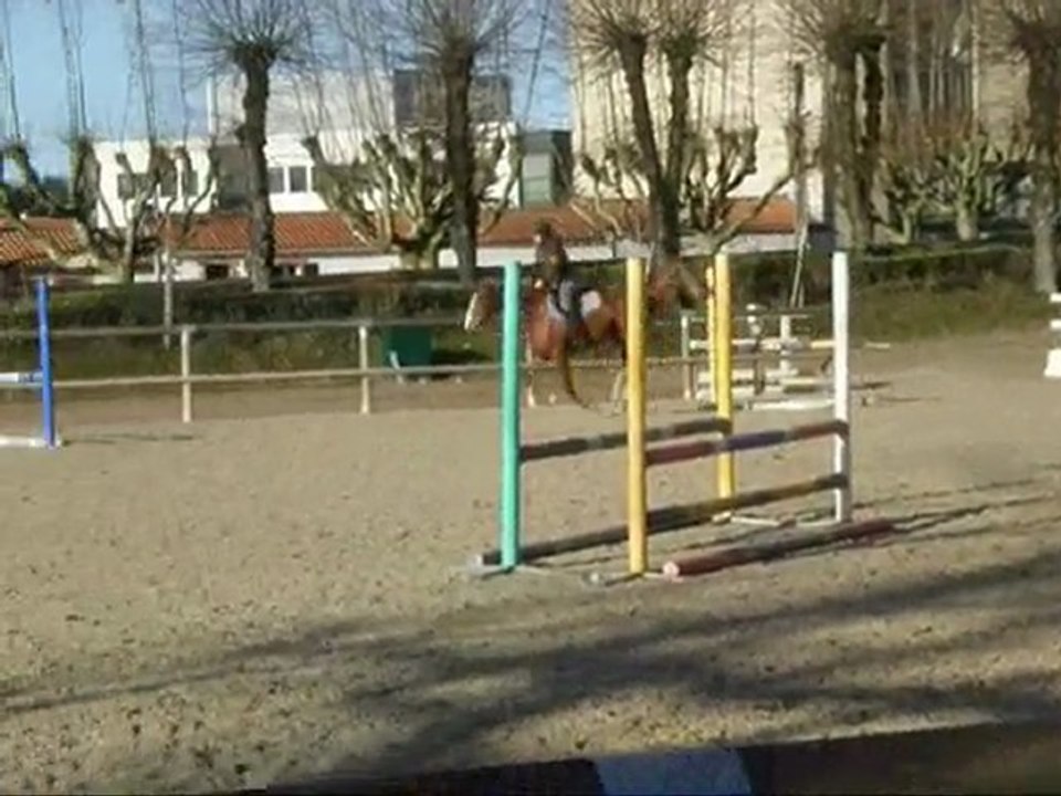 jument selle francais a vendre