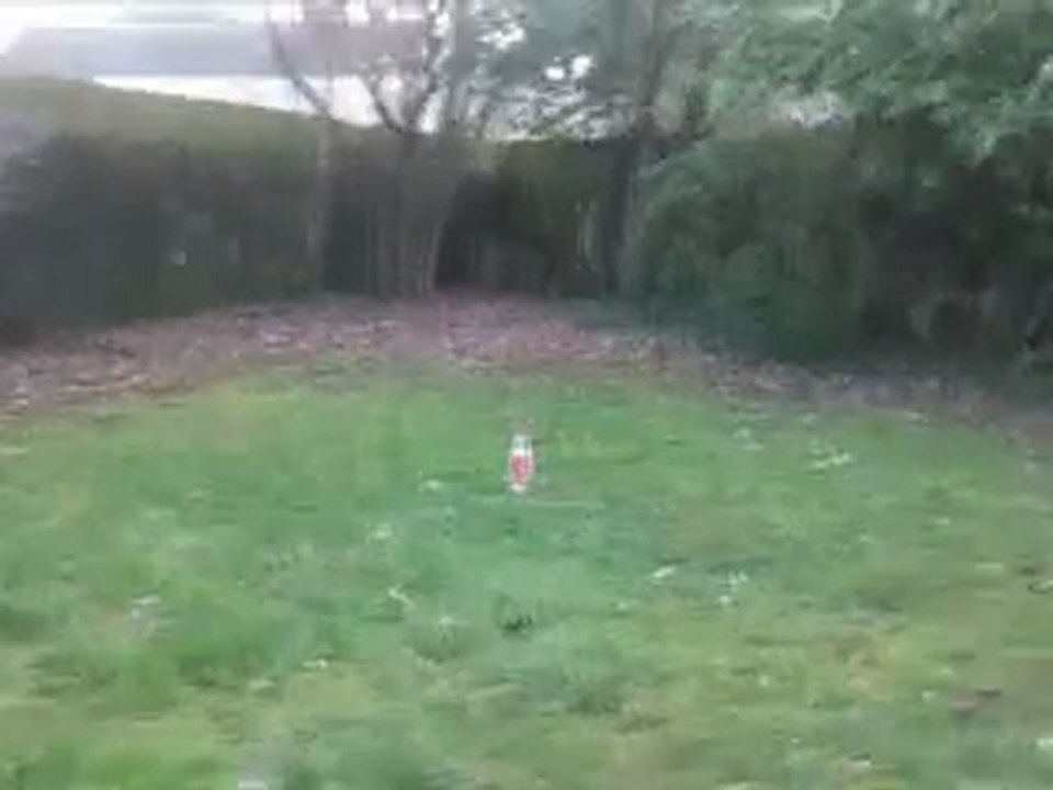 bombe acide chlorydrique + alluminium