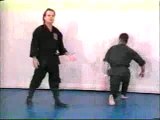 Bujinkan Ninjutsu Training 1