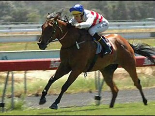 le monde des courses 1