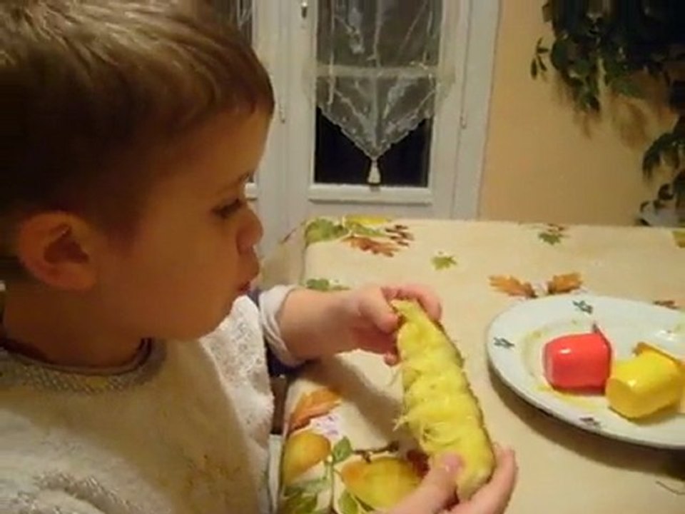 Pierre et sa folie de l'ananas !
