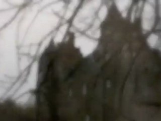 Forêt de Broceliande