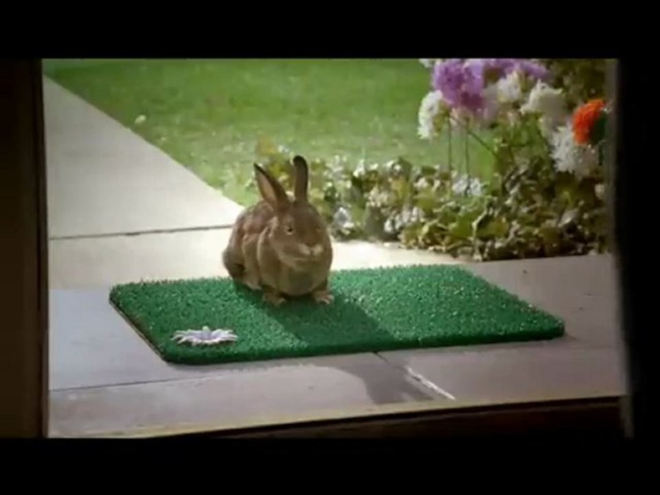 Van Eddies Heating & Air Conditioning Repair