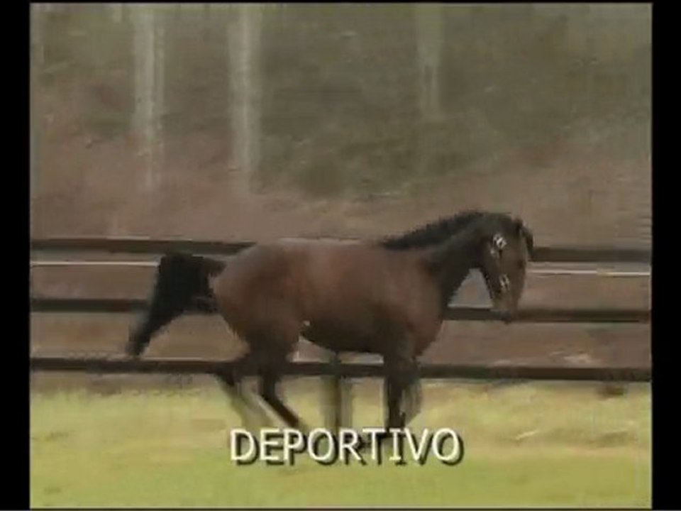 Deportivo