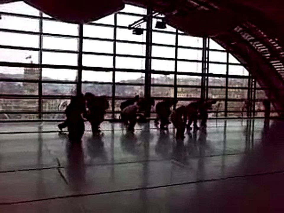 14 fev 2010 - kaléidoscope - groupe 2 - cie guesmé