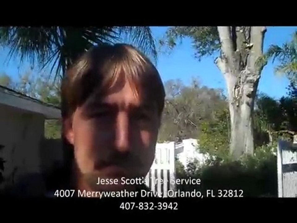 Jesse Scott's Tree Service