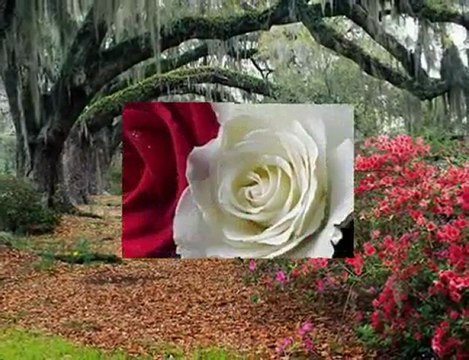 Selami Şahin-Özledim AS