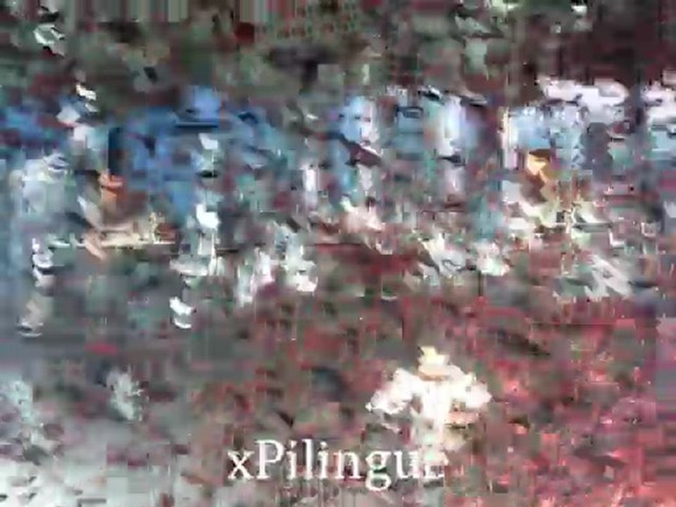 Tokio Hotel Bruxelles 25/02/2010 Forever Now