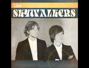 The Skywalkers - Skinnie Minnie Mandrax