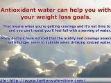 Antioxidant Water and Water Ionizers Uses
