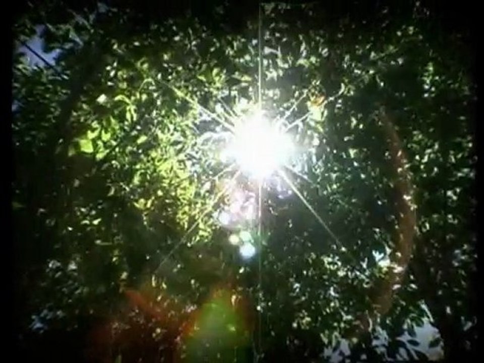 Sunny Side