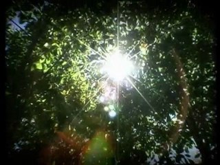 Sunny Side