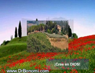 Video 118 EL SECRETO en youtube, pelicula, video, dvd, tv