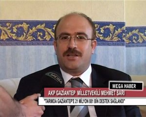 1-MEHMET SARI