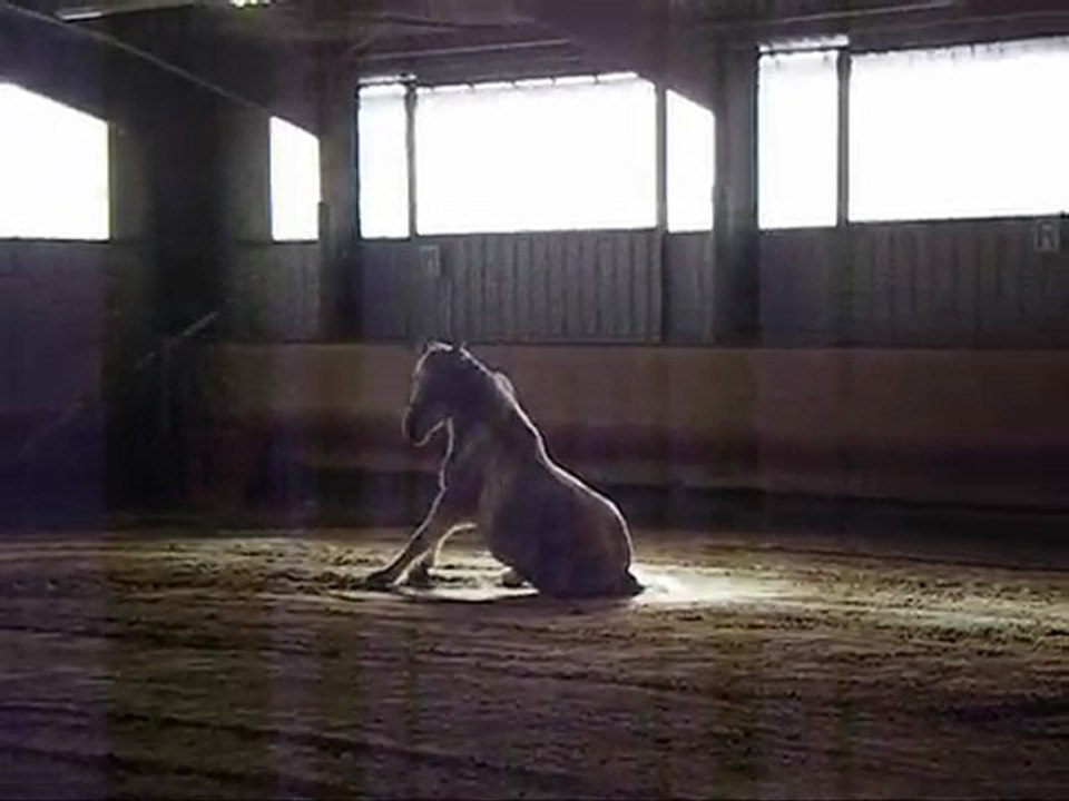 Semaine de Stage - Vacances de février