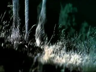 L'Inde millénaire -1