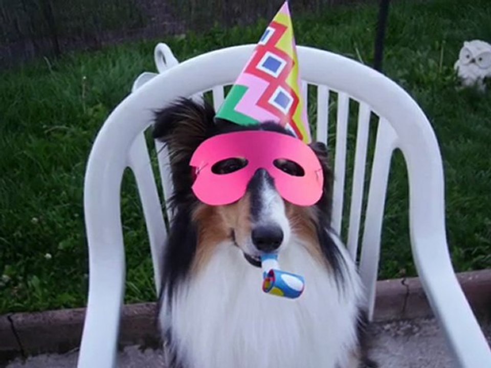 Anniversaire-Cooper