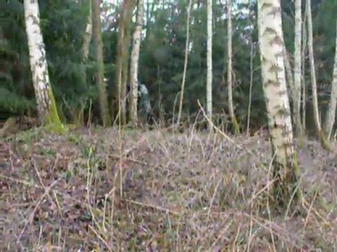 ATH-57 Capture du drapeau (1)
