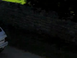 Lacs 2009 (Pour Coralie Girard )