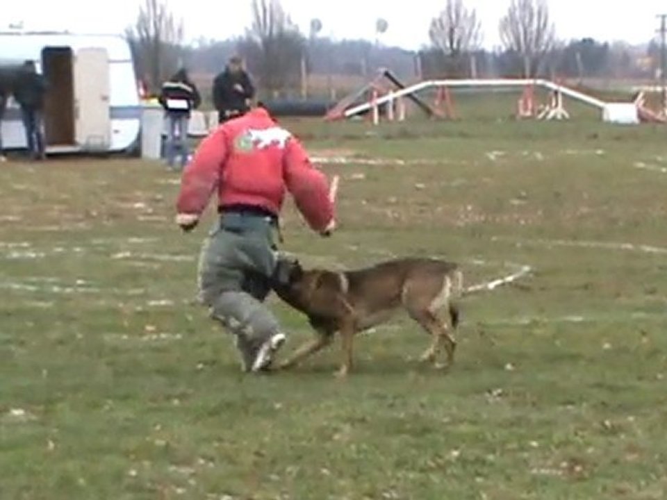 Fuyante en concours ring 1 de Cisco, à Echillais janv.2010