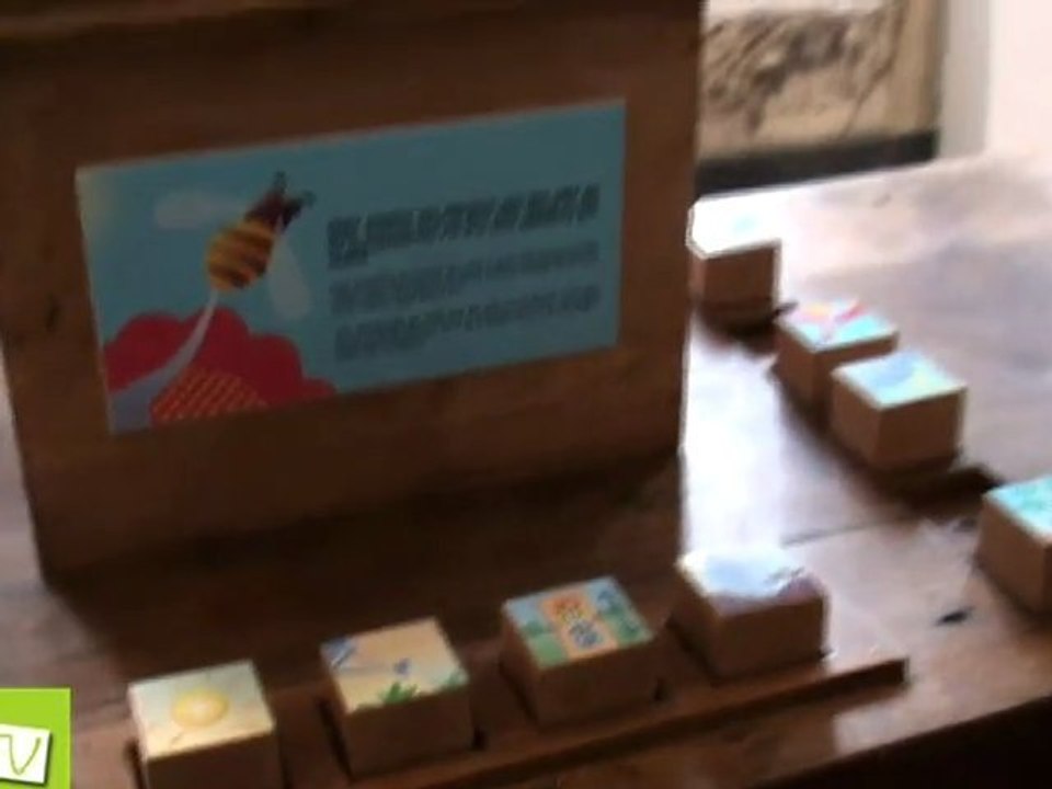 MAISON FAMILIALE DU PEINTRE HENRI MATISSE _ BOHAIN