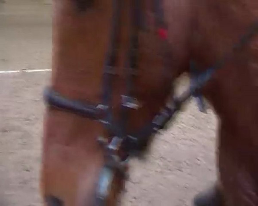 Apple Five Cherveux 31 Janvier